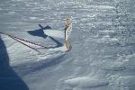 Snowdrift clinging to sign after storm