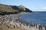 Magdalena Island - home of a lot of penguins