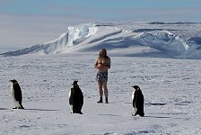 Emperor penguin boxer shorts and Emperor Penguins