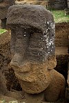 Moai half dug out