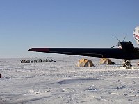 Penguin close to plane