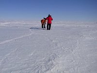 Looking for crevasses