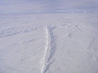 Inverse penguin tracks