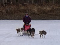 Lindsey mushing