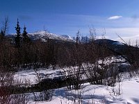 Yukon scenery
