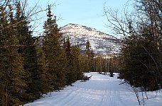 Yukon Quest Trail
