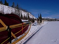 Dogsled on trail