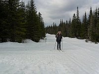 Cross country skiing