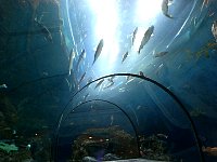 Quebec City aquarium
