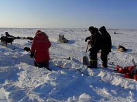 Digging out the cable