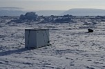 Fridge on ice