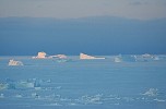 Icebergs, seen from Hotel Qaanaaq
