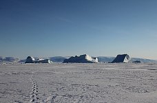 Tracks away from icebergs near Qaanaaq