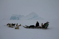 Rest with dog sled