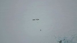 Drone shot of me and dog sled