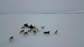 Guide and dogsled