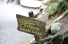 Attention: Extreme Nature Ahead