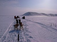 Dogsledding break