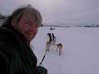 Dogsledding - warmer than it looks