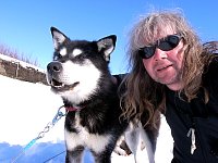 Sled dog and me