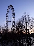 London Eye from ground level, sunset