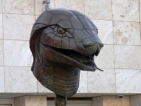Zodiak Snake Head