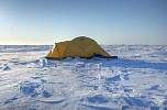 Tent near North Pole