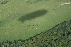 Zeppelin shadow over field with horses