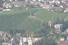 Meersburg wine growing area