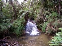 Horto Florestal waterfall
