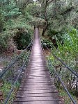 Horto Florestal bridge