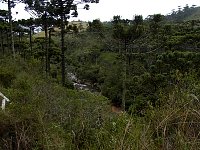 Horto Florestal river