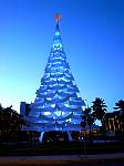 Fortaleza Christmas tree at night