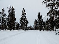 View of cross country ski trail