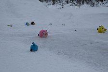 Angry Bird Curling