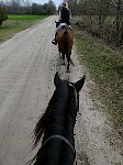 Riding in Hungary