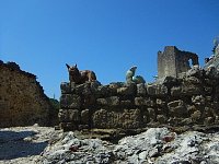 Drena Castle sculptures