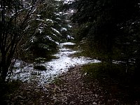 Snow covered path