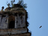 Convent ruin with stork