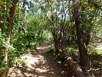 Sao Jacinto trail