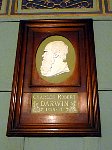 Charles Darwin plaque