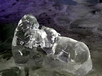 Beaver ice sculptures cave at Klein Matterhorn