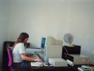 Office early 1994