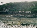 Seal colony, Isle of Skye