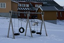 Svalbard city reindeer