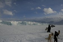 Dogs moving towards Tunabreen glacier