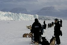 Dogs moving towards Tunabreen glacier