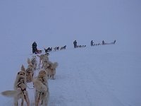 Dog sledge in windy conditions