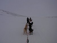 Dog sled on an overcast day, Svalbard