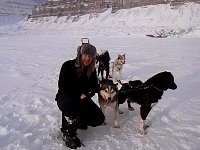 Sled dogs and me
